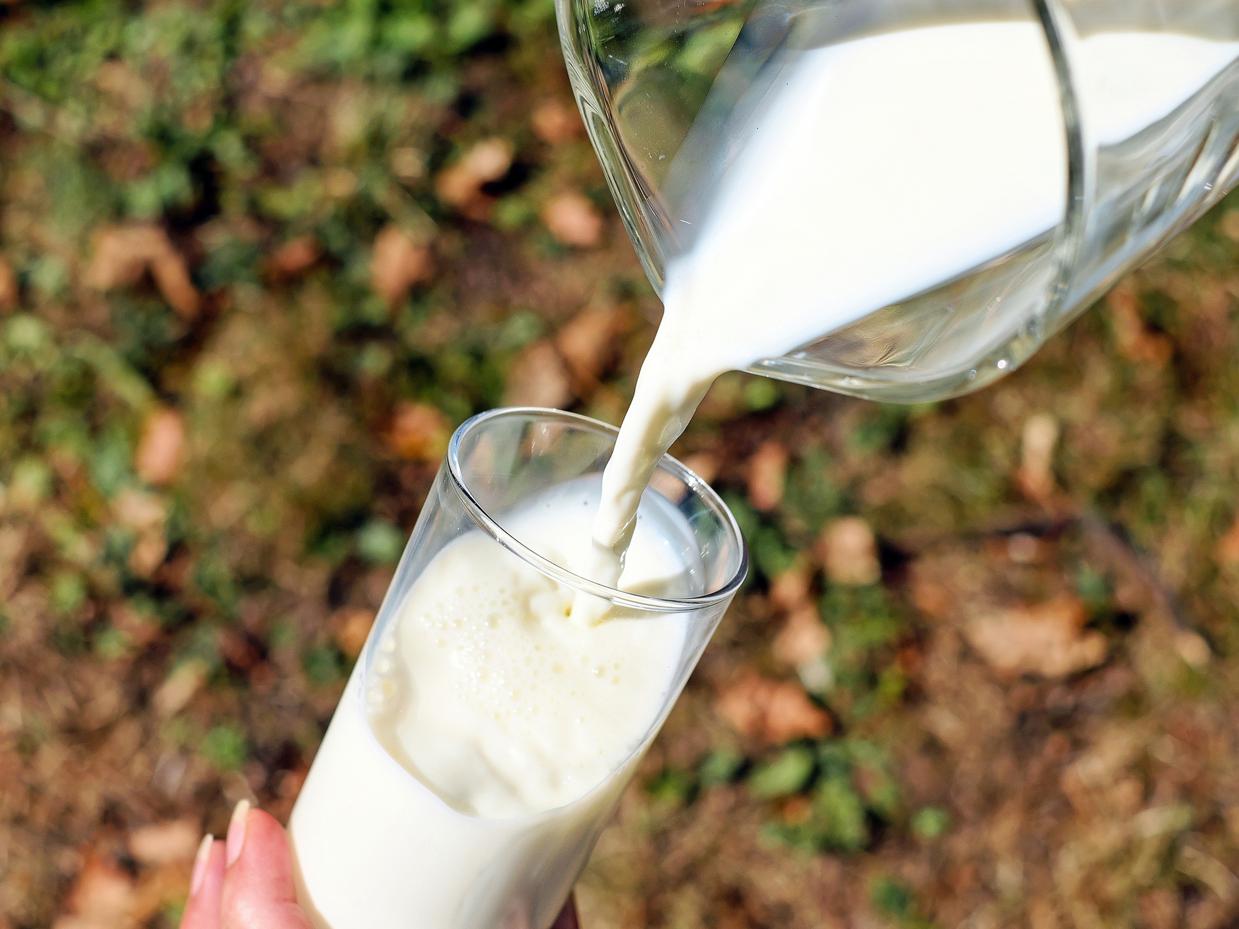 Asilo Padre Cacique está sem estoque de leite zero lactose e pede doações